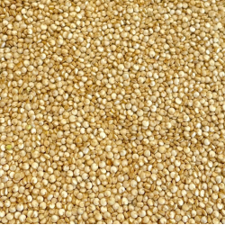 Ekologiška bolivinė balanda...