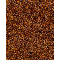 Ekologiška bolivinė...