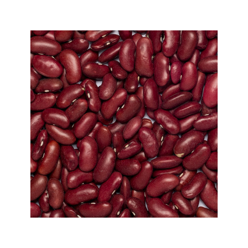 Organic red kidney beans