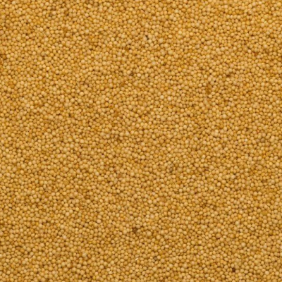 Organic amaranth