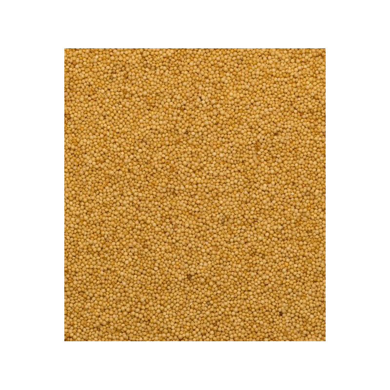 Organic amaranth