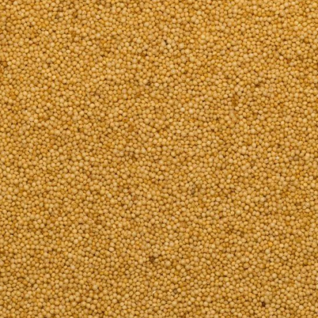 Organic amaranth