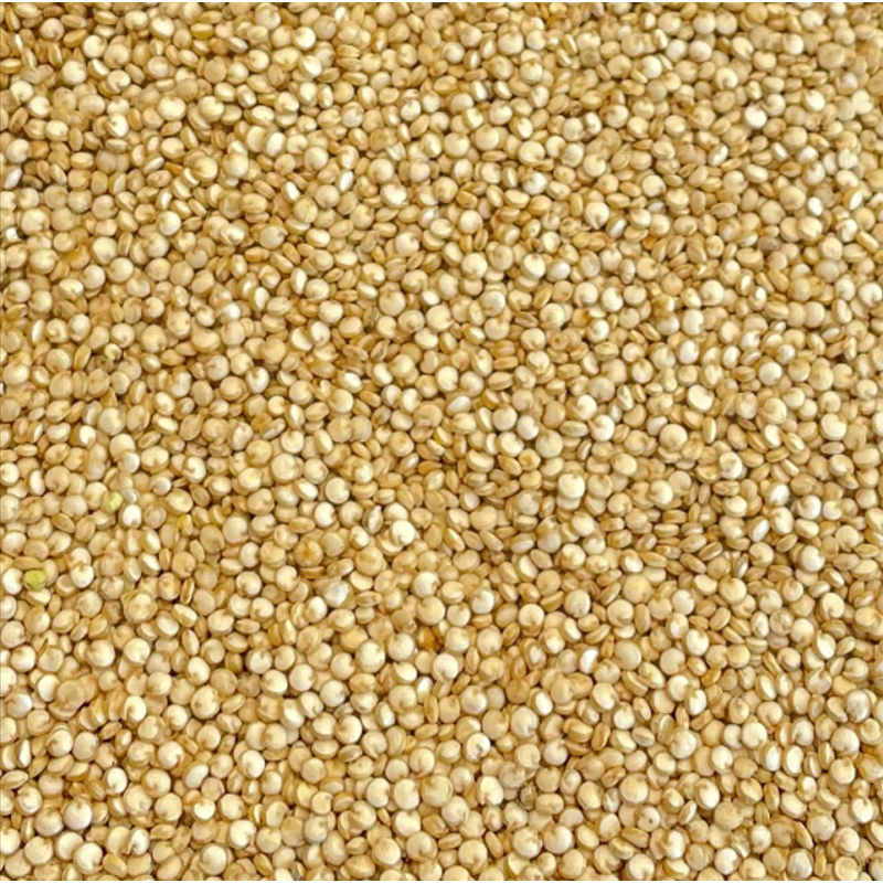 Organic quinoa white