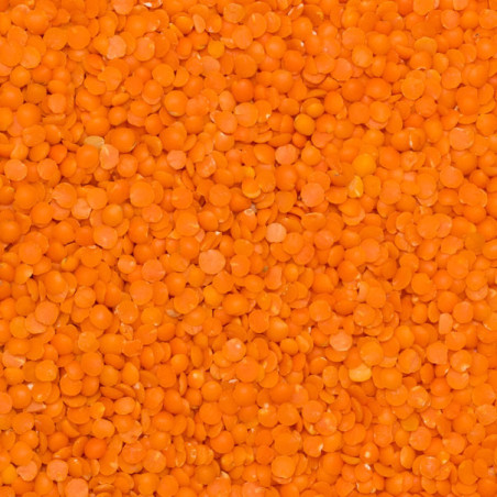 Organic red split lentils