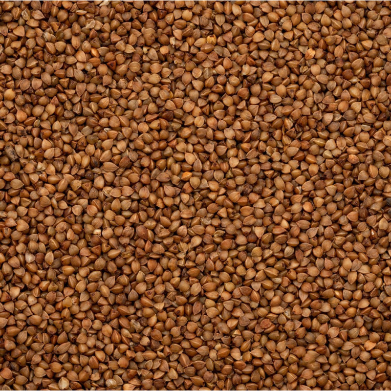 Buckwheat