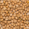 Organic chickpeas