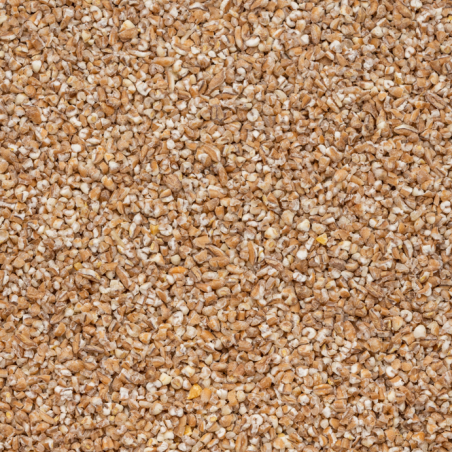 Organic wheat grits