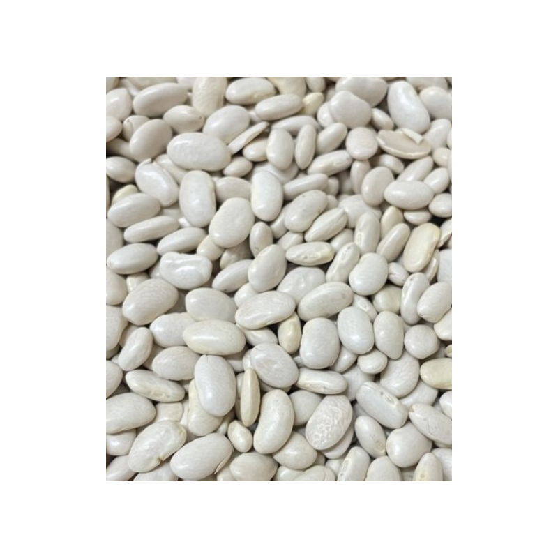 Organic white beans (medium)