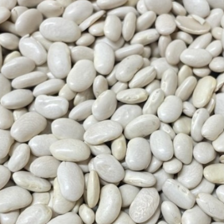 Organic white beans (medium)