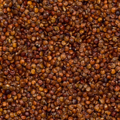Organic red quinoa