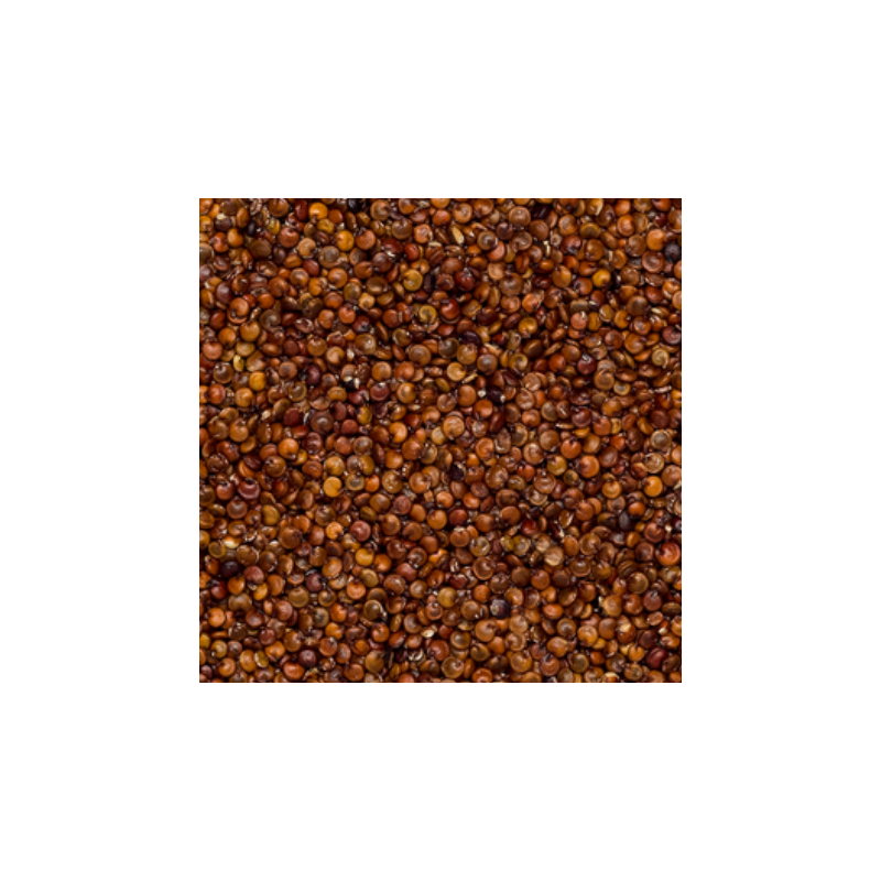 Organic red quinoa
