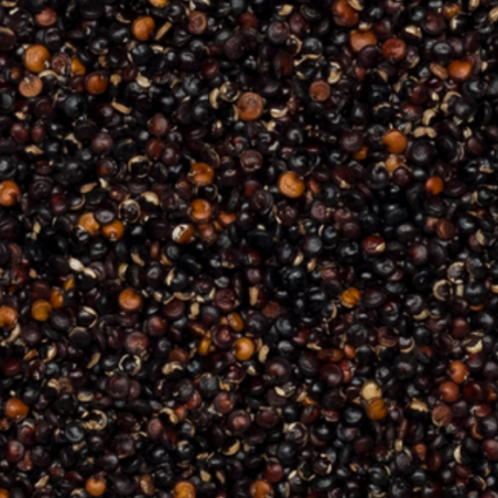 Organic black quinoa