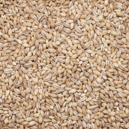 Organic pearl barley