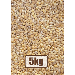 Organic pearl barley 5 kg
